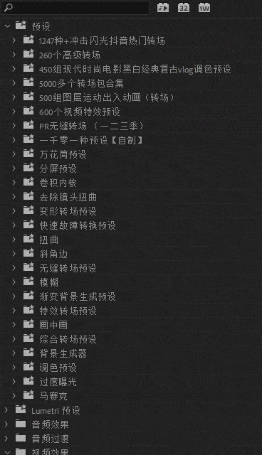 图片[3]-Pr插件合集注册码-2022~2025调色抠像光效降噪平面跟踪防抖转场磨皮中文汉化等一键安装-玩客空间