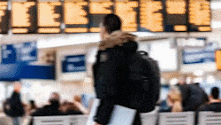 图片[6]-Pr插件合集注册码-2022~2025调色抠像光效降噪平面跟踪防抖转场磨皮中文汉化等一键安装-玩客空间