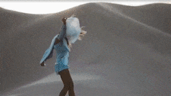 图片[12]-Pr插件合集注册码-2022~2025调色抠像光效降噪平面跟踪防抖转场磨皮中文汉化等一键安装-玩客空间