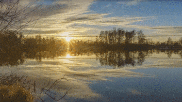 图片[24]-Pr插件合集注册码-2022~2025调色抠像光效降噪平面跟踪防抖转场磨皮中文汉化等一键安装-玩客空间