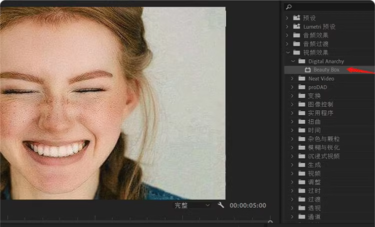 图片[28]-Pr插件合集注册码-2022~2025调色抠像光效降噪平面跟踪防抖转场磨皮中文汉化等一键安装-玩客空间
