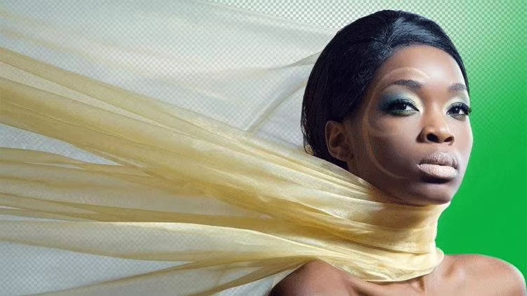 图片[30]-Pr插件合集注册码-2022~2025调色抠像光效降噪平面跟踪防抖转场磨皮中文汉化等一键安装-玩客空间