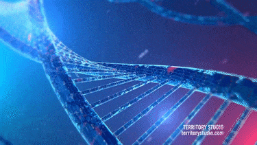 图片[6]-Ae插件合集注册码-2018~2025光效BBC调色磨皮降噪E3D粒子摩卡跟踪抠像中文等一键安装-玩客空间