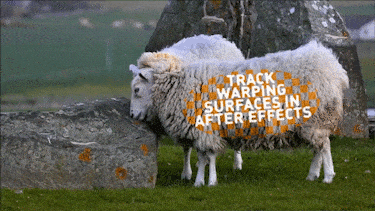 图片[34]-Ae插件合集注册码-2018~2025光效BBC调色磨皮降噪E3D粒子摩卡跟踪抠像中文等一键安装-玩客空间